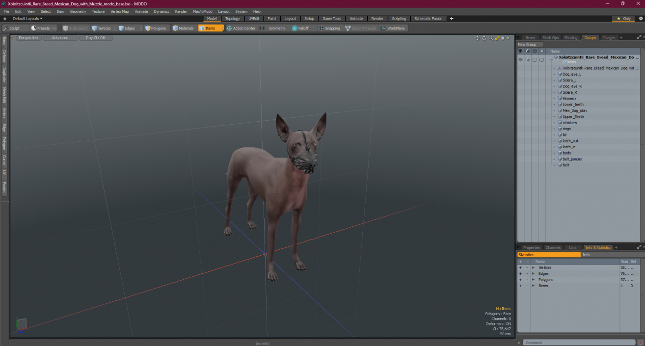 3D Xoloitzcuintli Rare Breed Mexican Dog with Muzzle 3