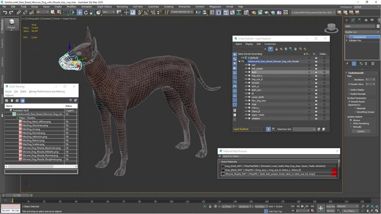 3D Xoloitzcuintli Rare Breed Mexican Dog with Muzzle 3