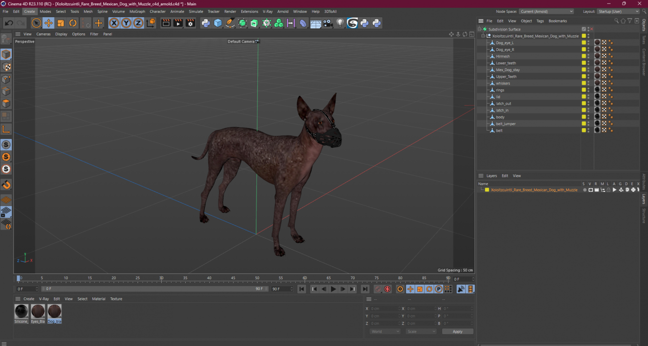 3D Xoloitzcuintli Rare Breed Mexican Dog with Muzzle 3