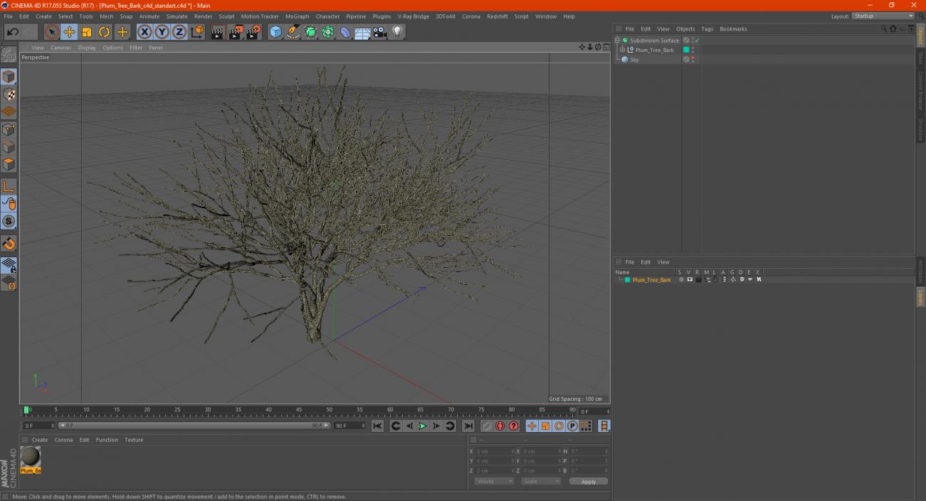 Plum Tree Bark 3D model