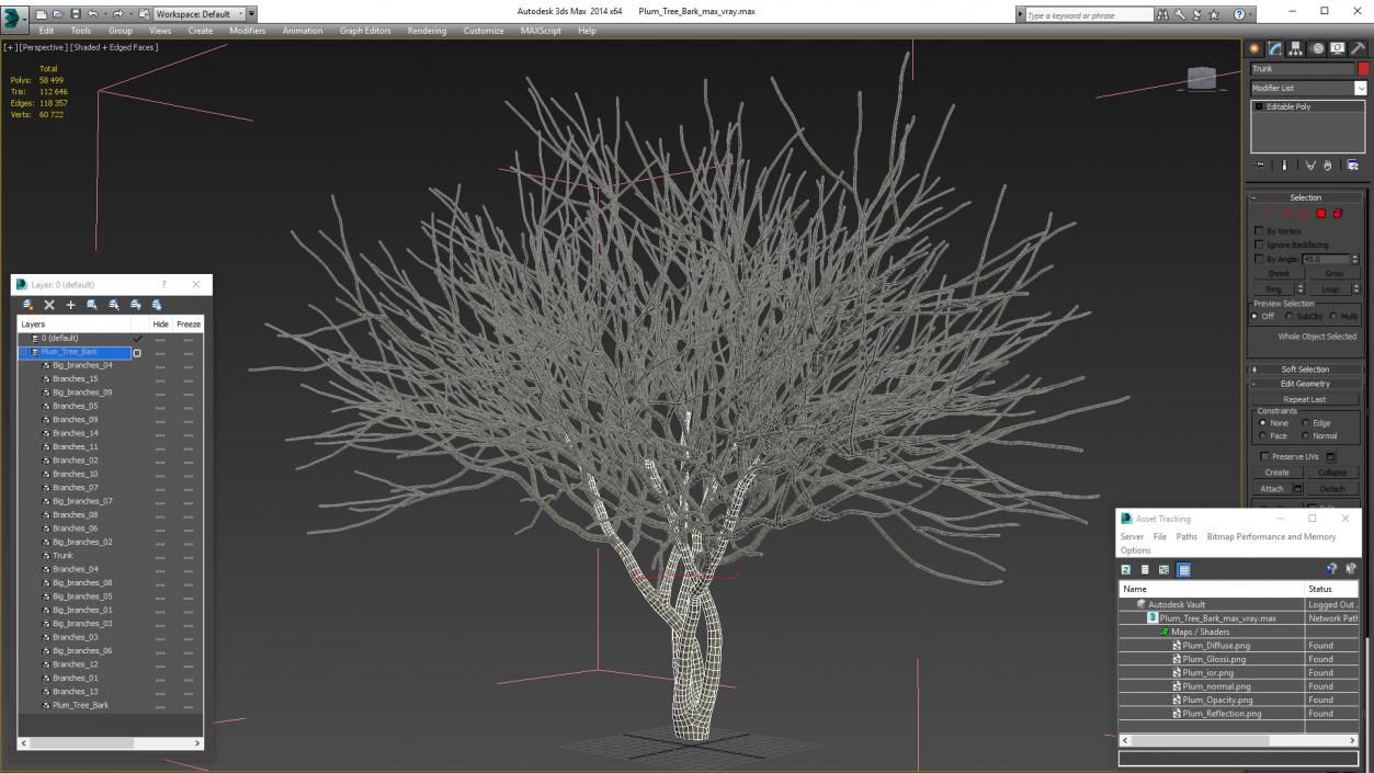 Plum Tree Bark 3D model