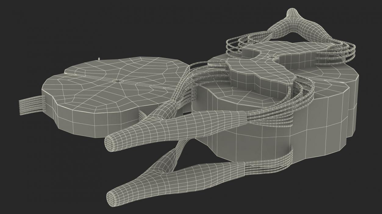 3D model Gross Anatomy of Spinal Nerves