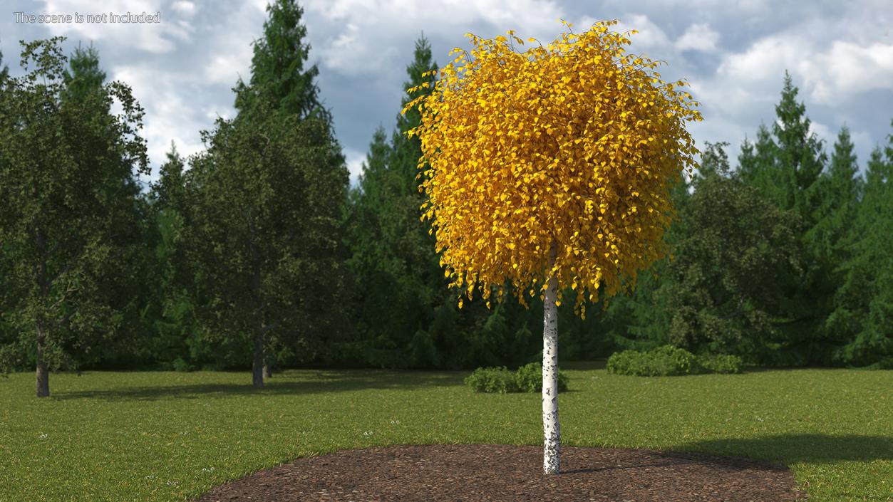 Autumn Yellow Trees Collection 2 3D