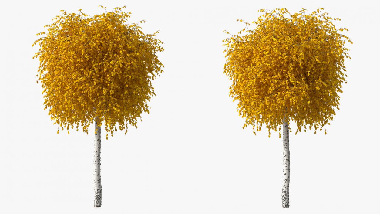 Autumn Yellow Trees Collection 2 3D