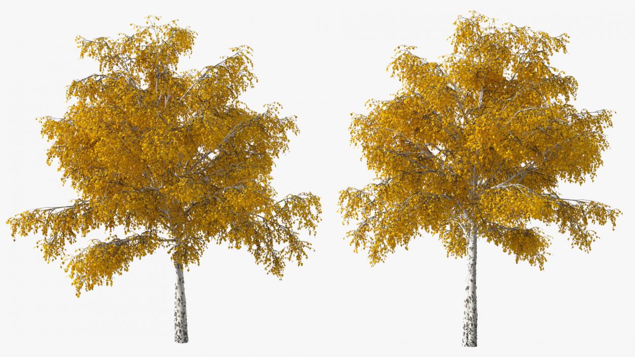 Autumn Yellow Trees Collection 2 3D