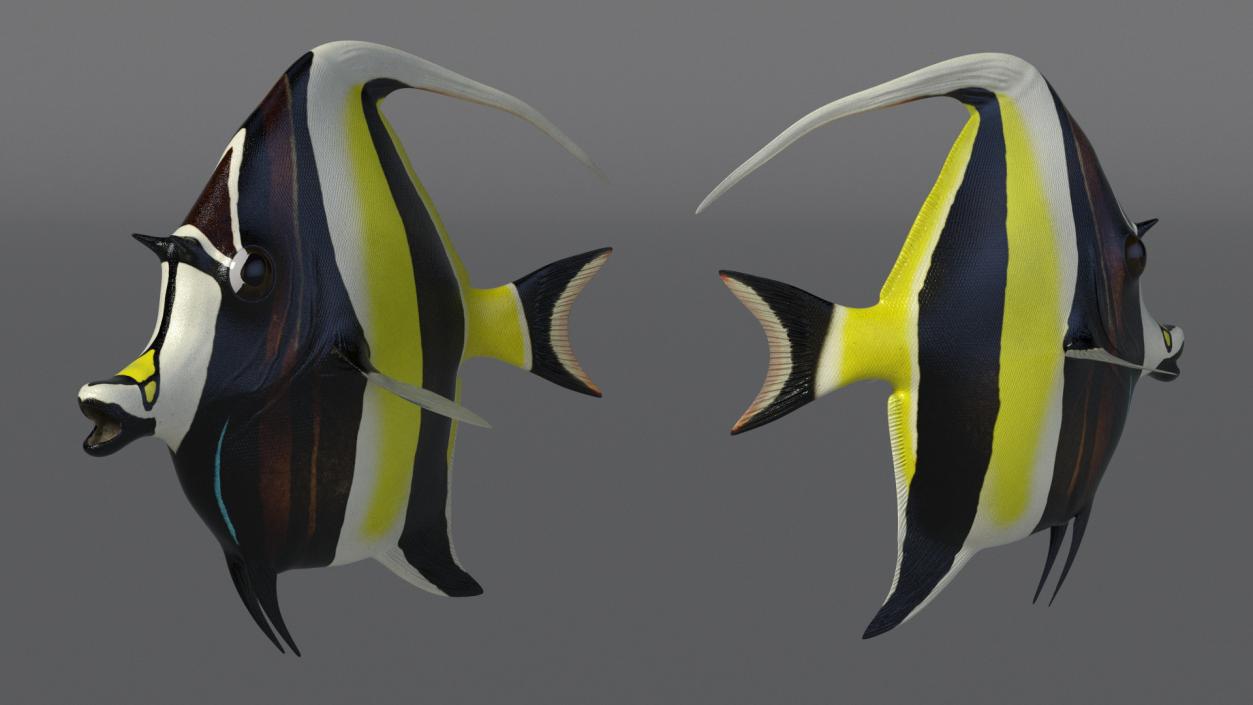 3D Moorish Idol Tropical Fish