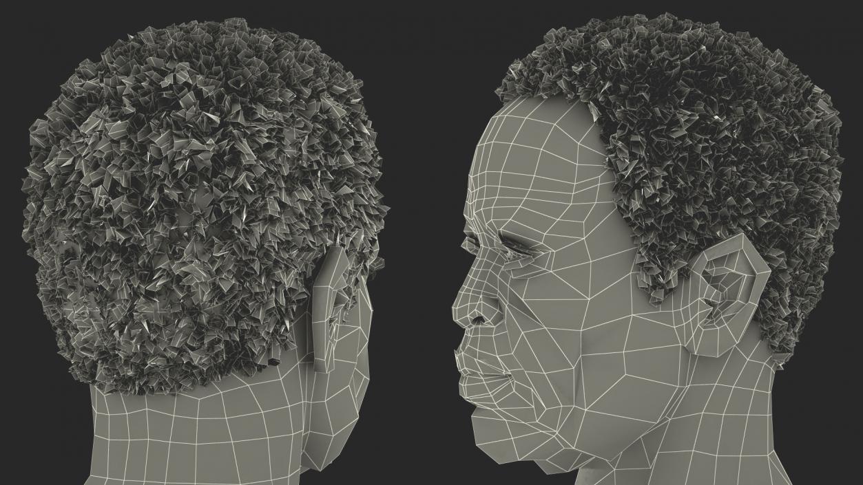 3D Afro American Grandpa Head