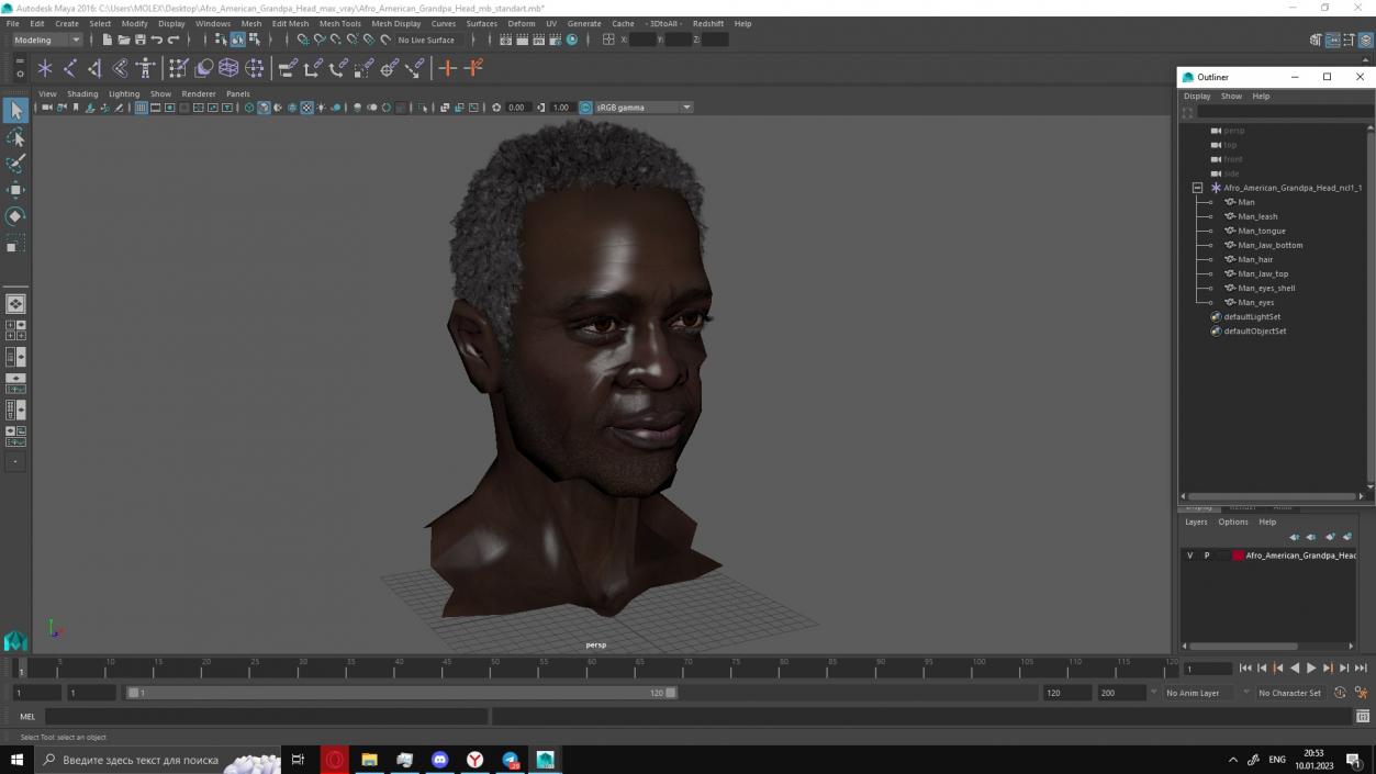 3D Afro American Grandpa Head