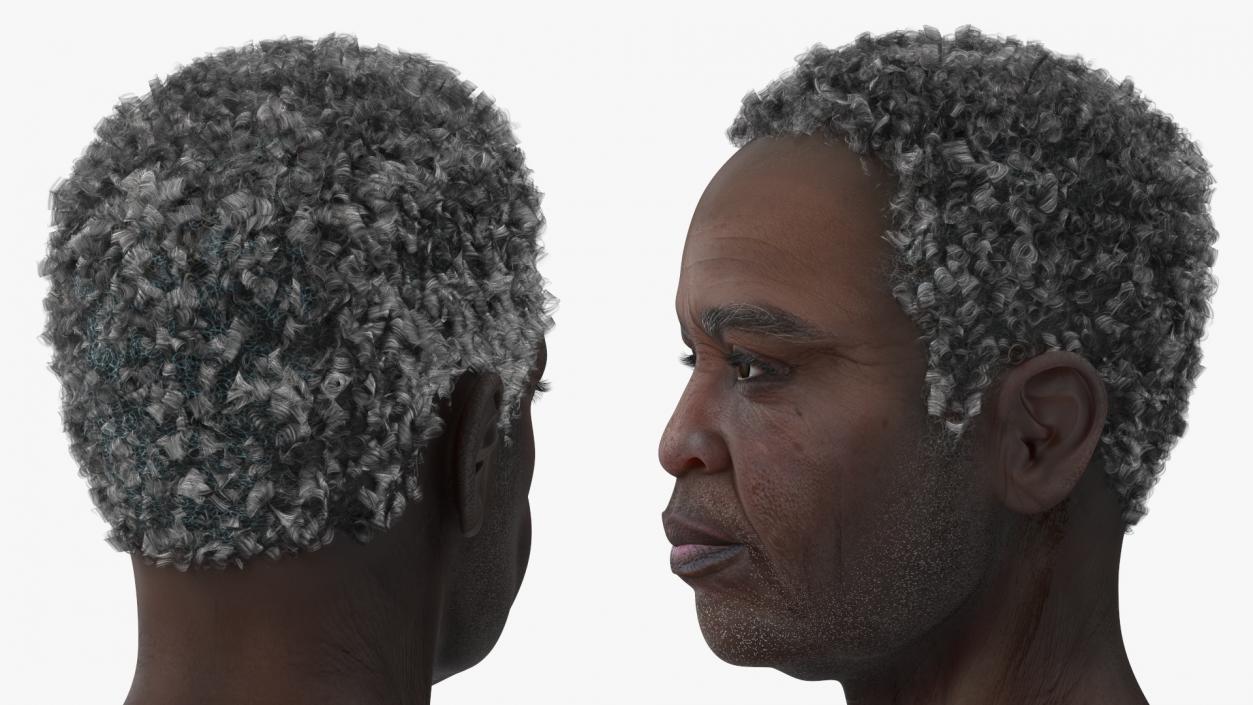 3D Afro American Grandpa Head