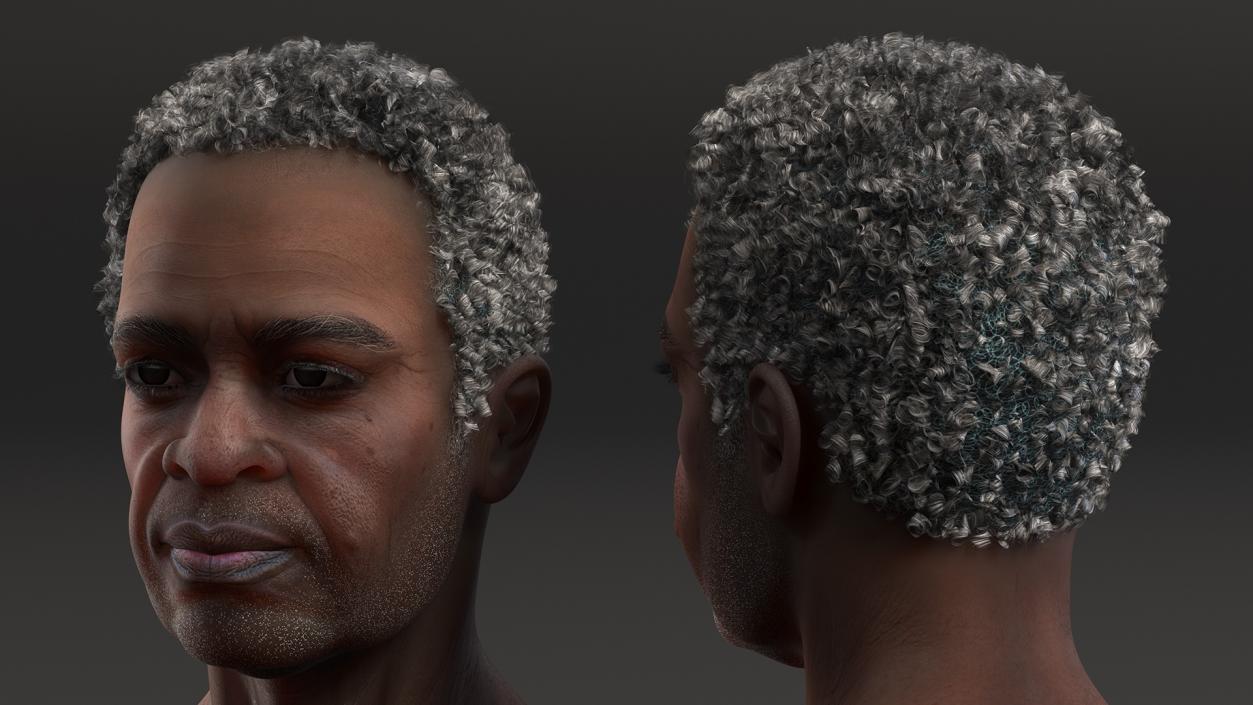 3D Afro American Grandpa Head