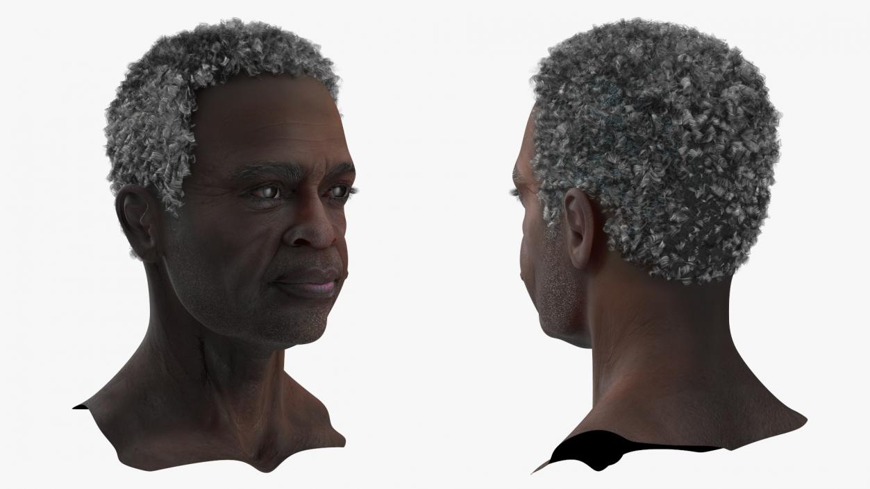 3D Afro American Grandpa Head