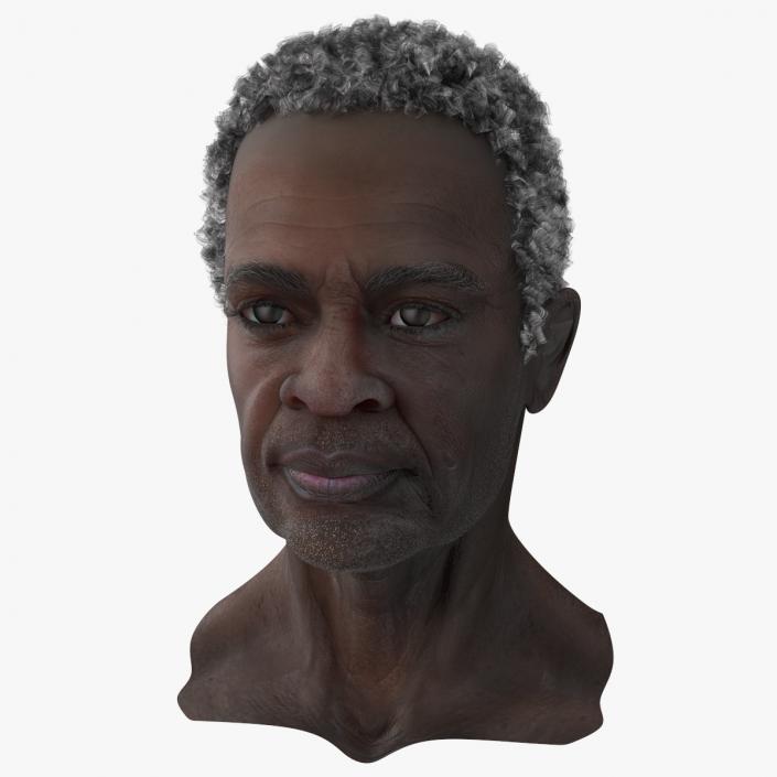 3D Afro American Grandpa Head