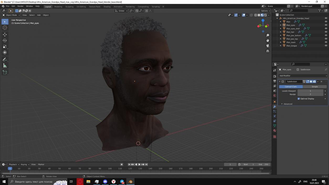 3D Afro American Grandpa Head