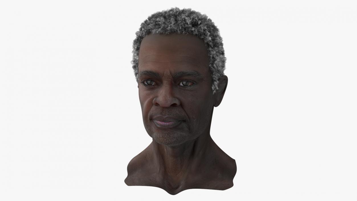 3D Afro American Grandpa Head