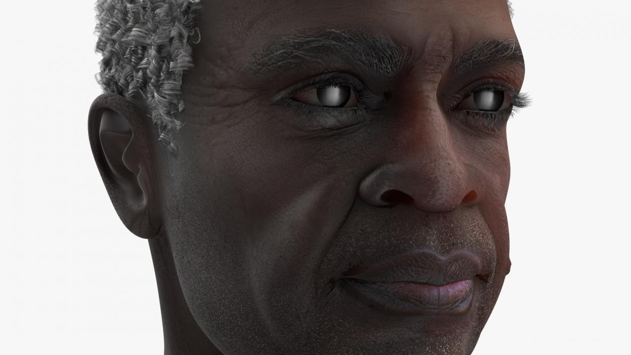 3D Afro American Grandpa Head