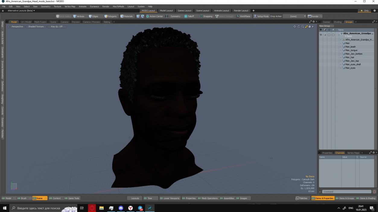 3D Afro American Grandpa Head