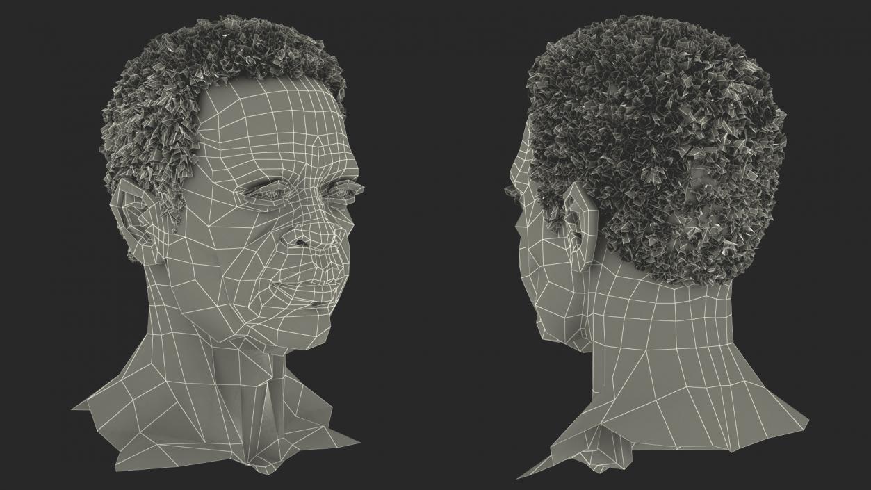 3D Afro American Grandpa Head