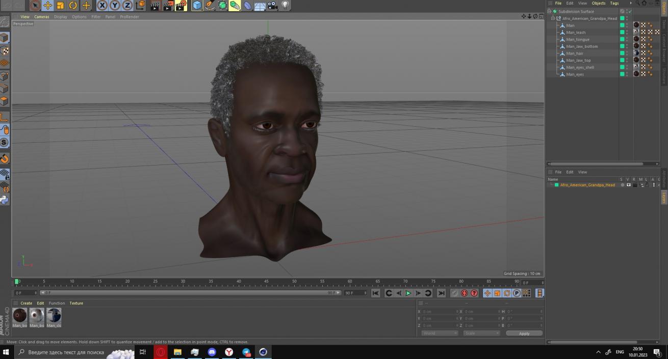 3D Afro American Grandpa Head