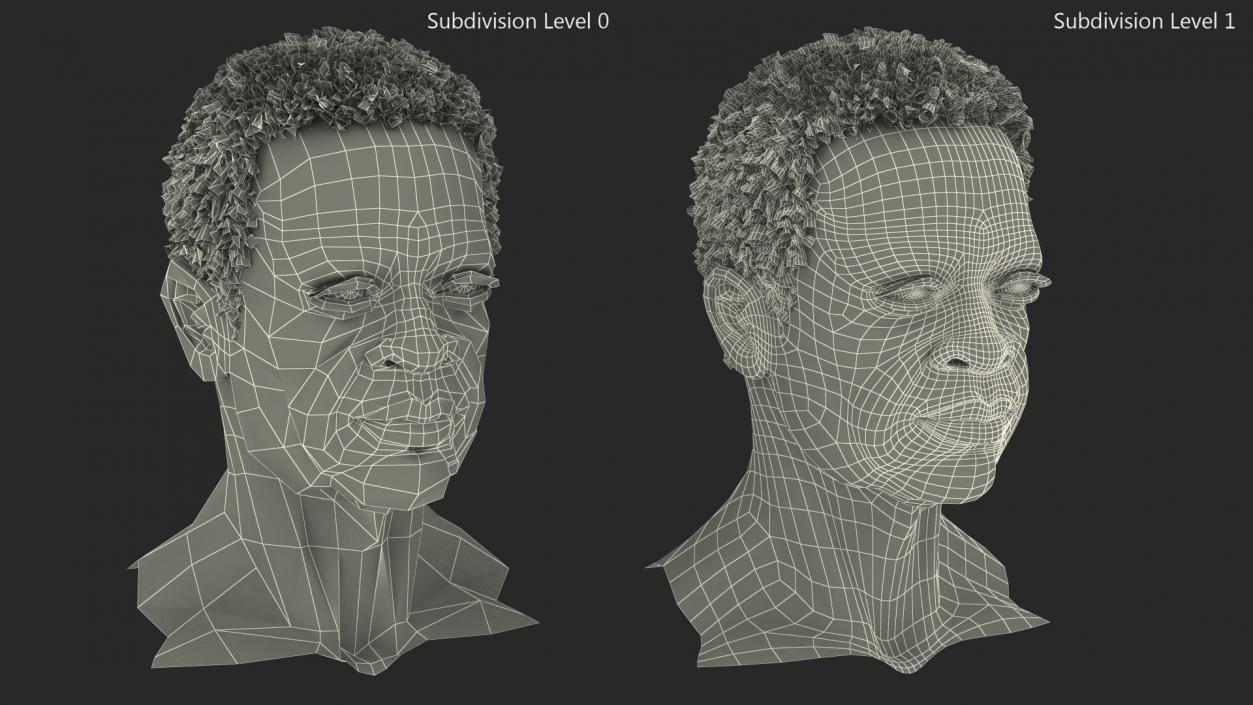 3D Afro American Grandpa Head