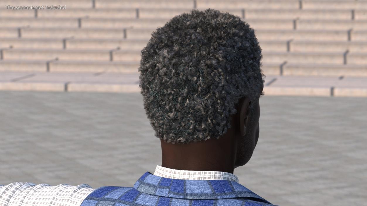 3D Afro American Grandpa Head