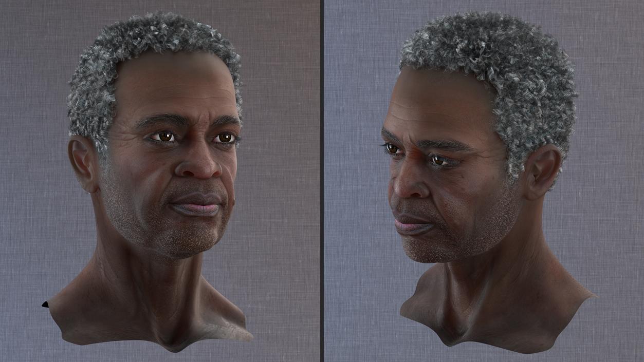 3D Afro American Grandpa Head