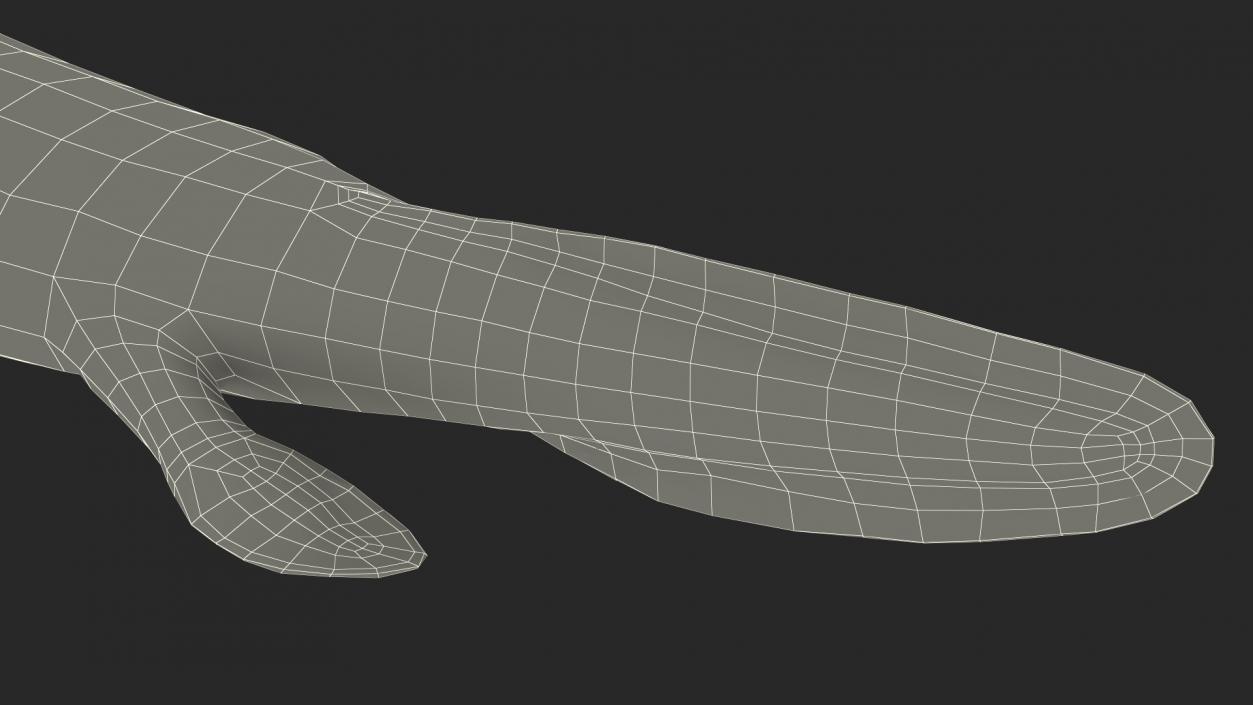 3D Tiktaalik Rigged