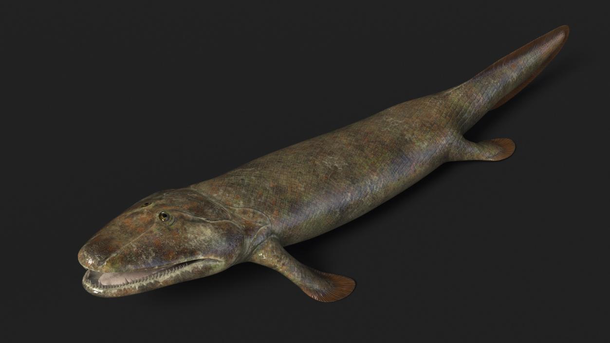 3D Tiktaalik Rigged