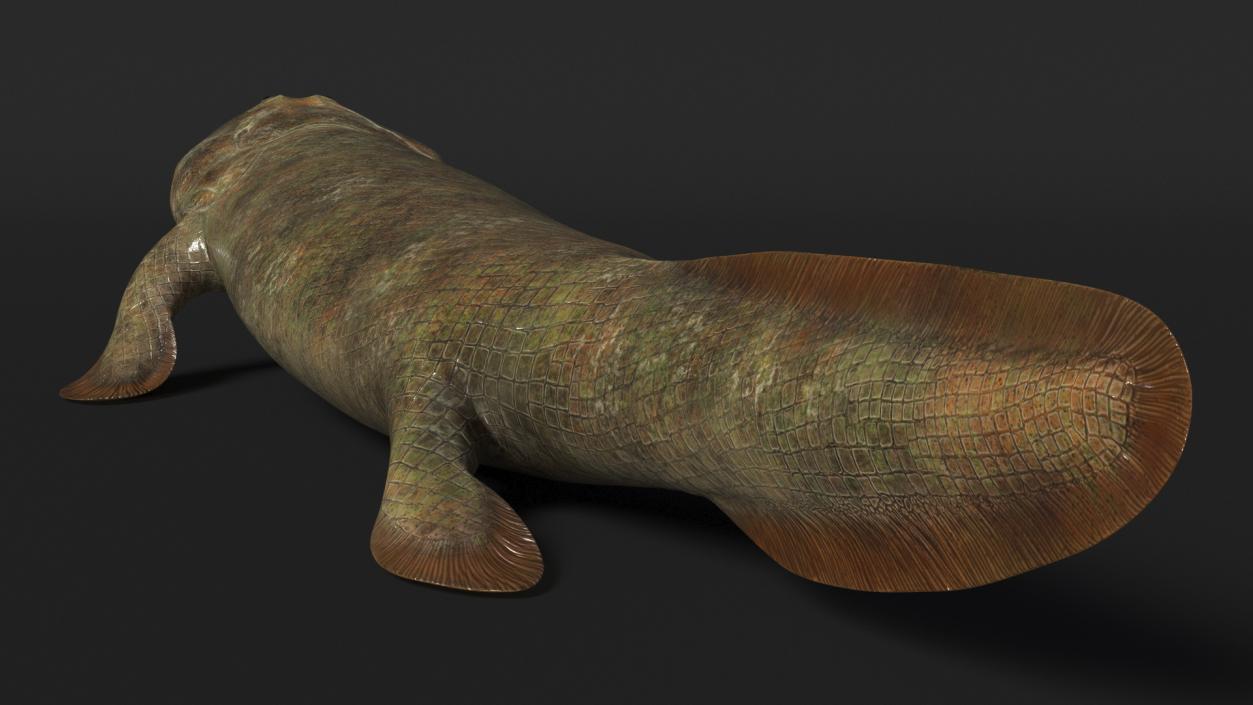 3D Tiktaalik Rigged