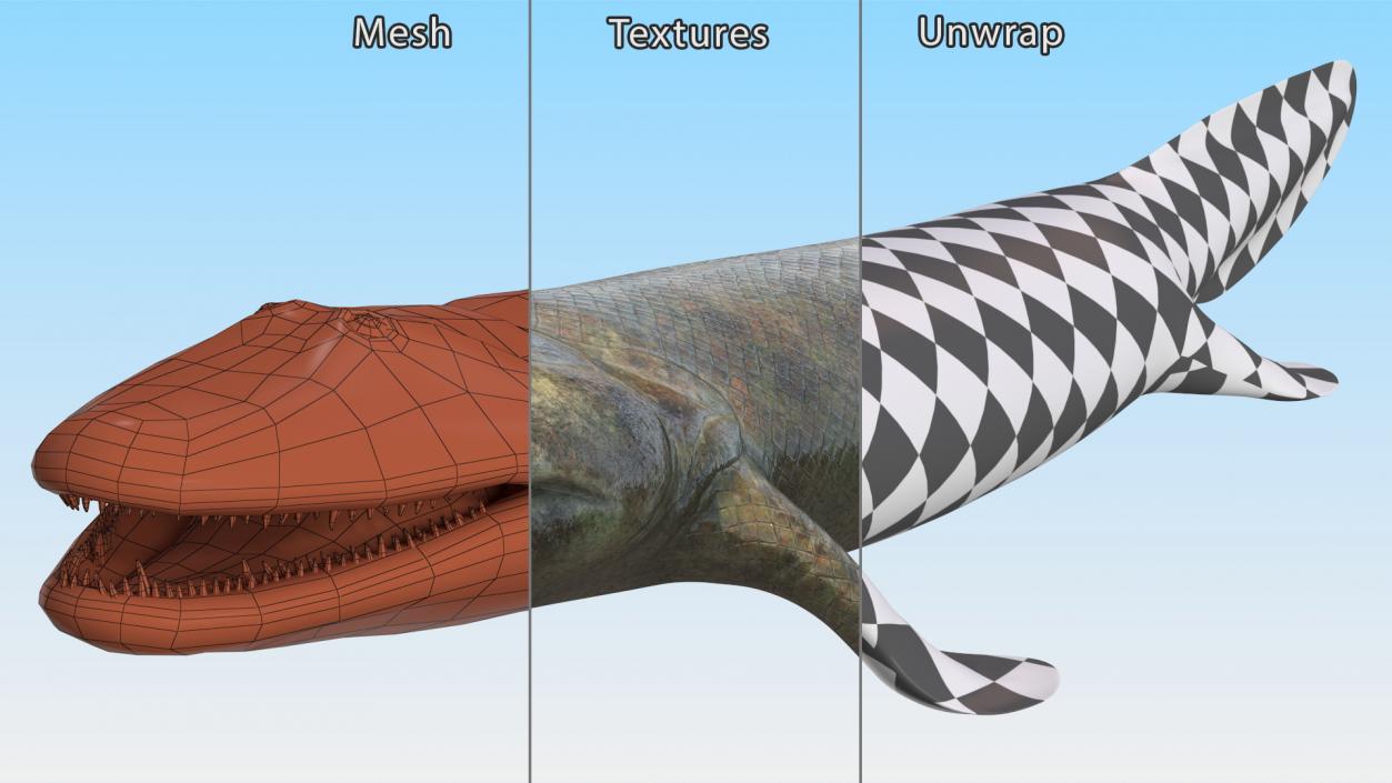 3D Tiktaalik Rigged