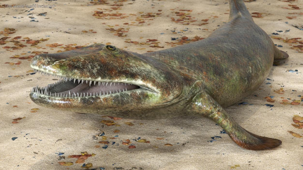 3D Tiktaalik Rigged