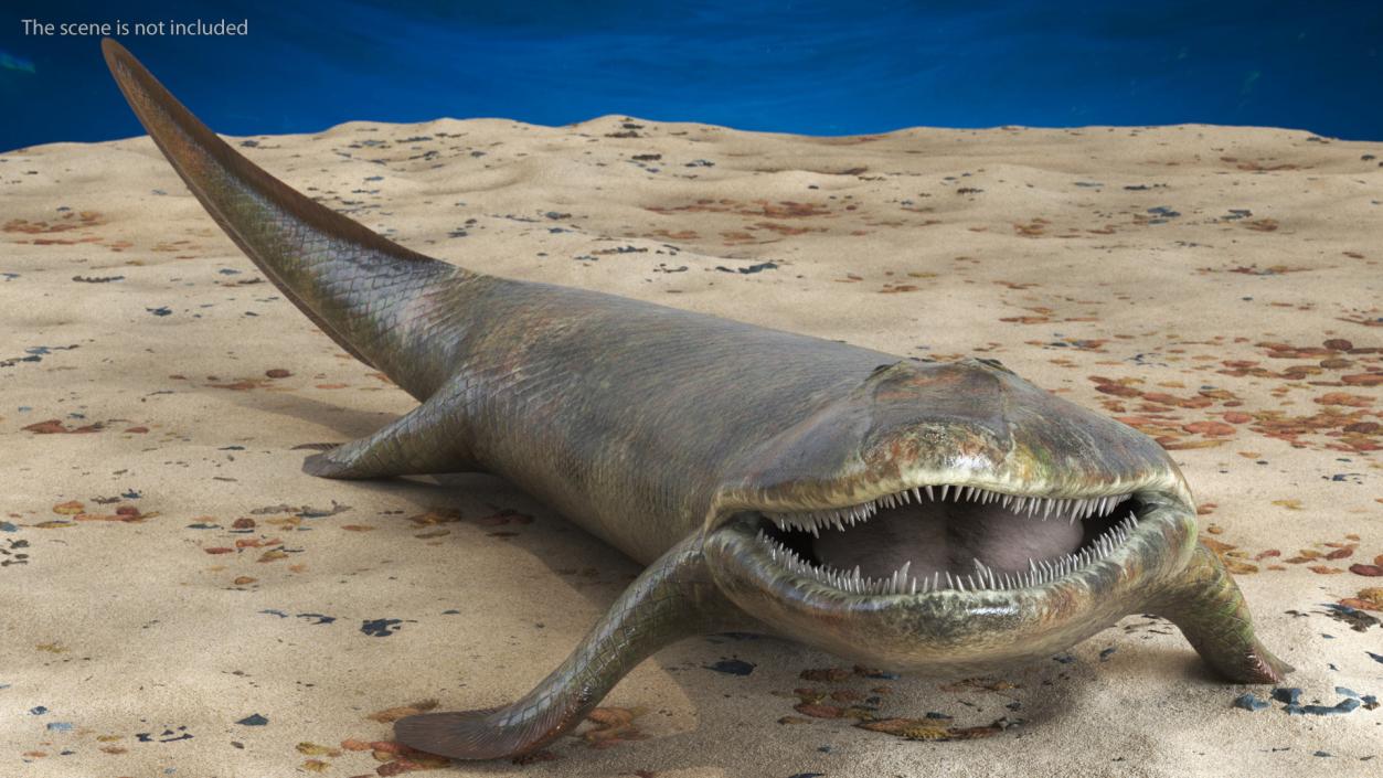 3D Tiktaalik Rigged