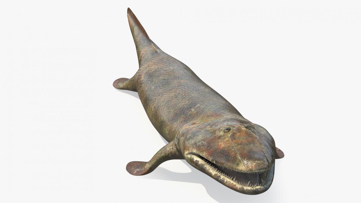 3D Tiktaalik Rigged