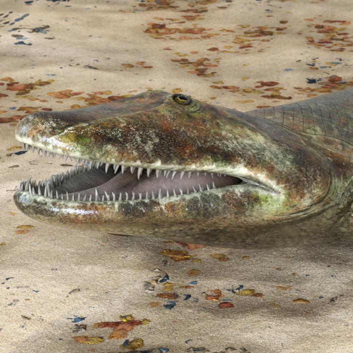 3D Tiktaalik Rigged