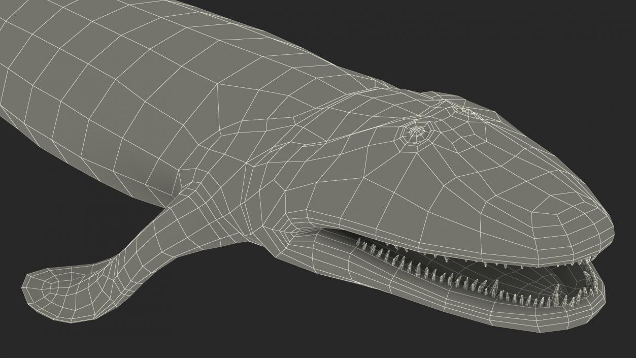 3D Tiktaalik Rigged