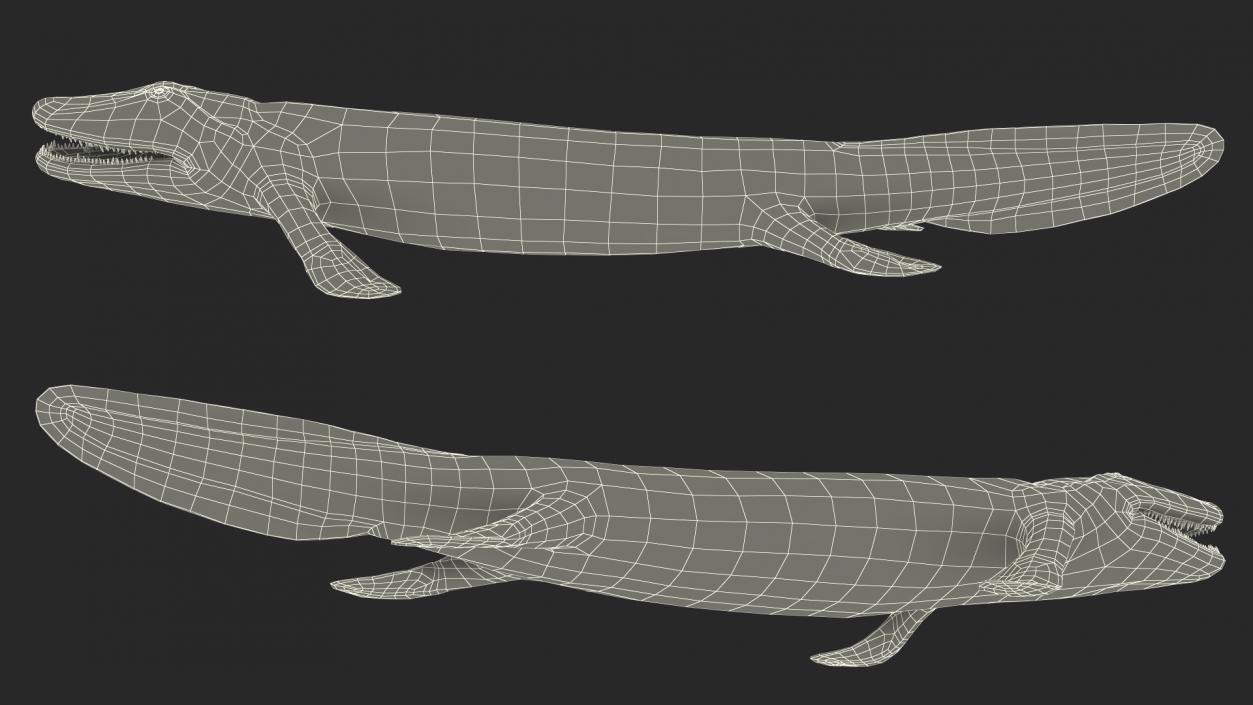 3D Tiktaalik Rigged