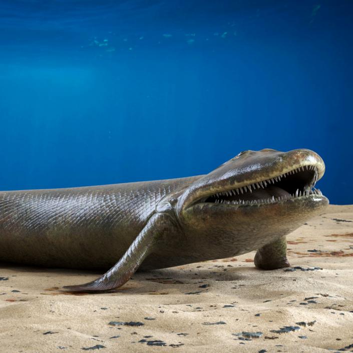 3D Tiktaalik Rigged