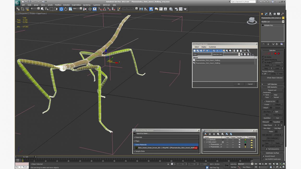 Phasmatodea Stick Insect Walking 3D