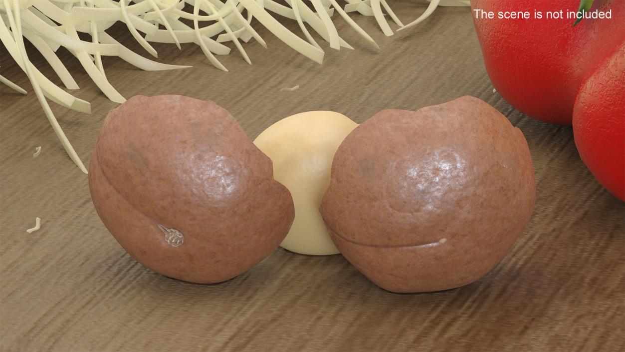 Split Macadamia Nut 3D model