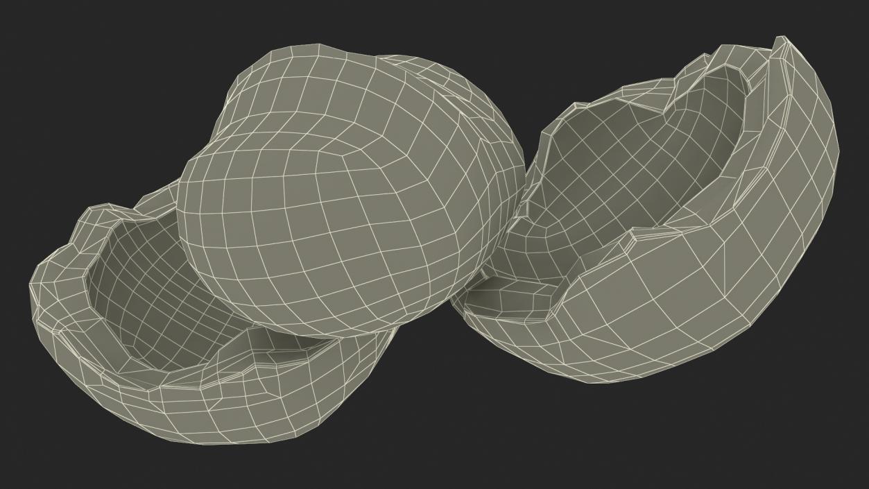 Split Macadamia Nut 3D model