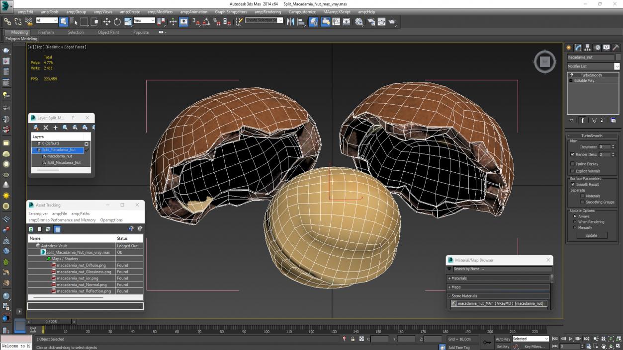 Split Macadamia Nut 3D model