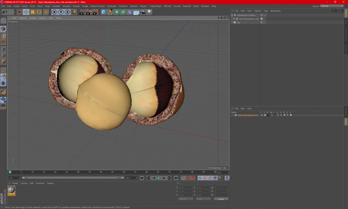 Split Macadamia Nut 3D model