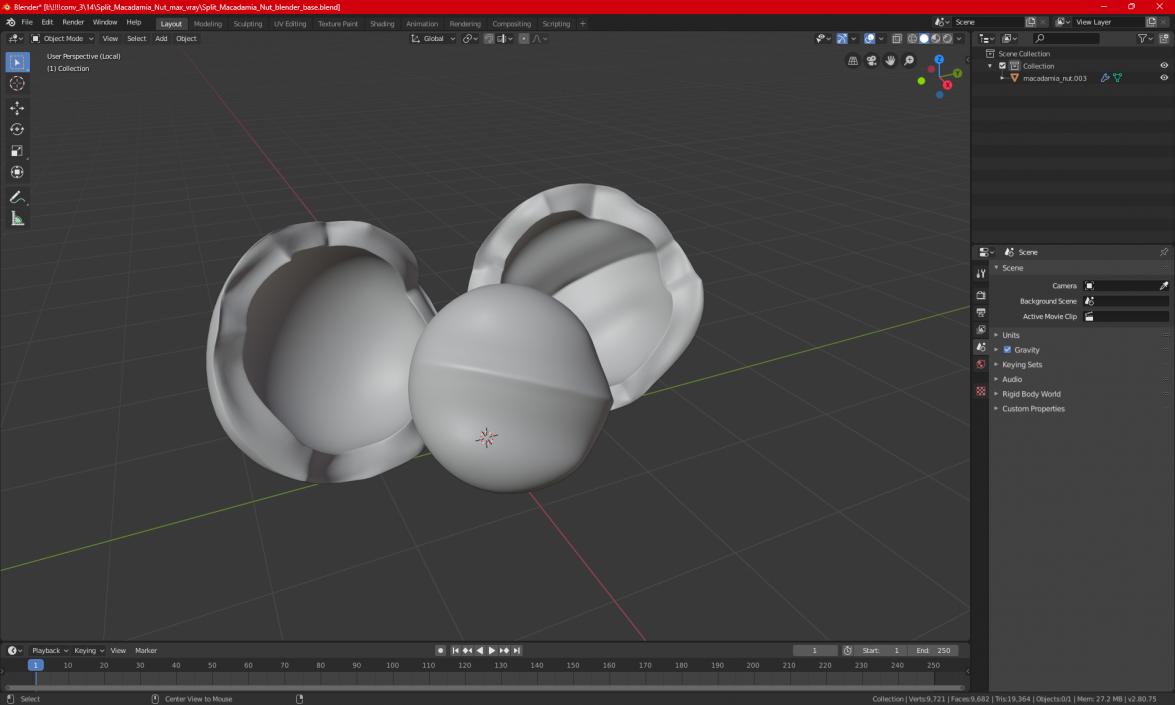 Split Macadamia Nut 3D model