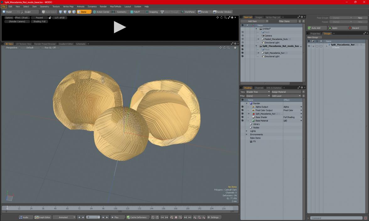 Split Macadamia Nut 3D model