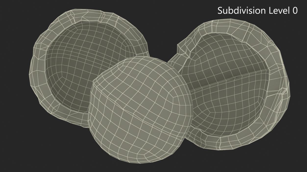 Split Macadamia Nut 3D model