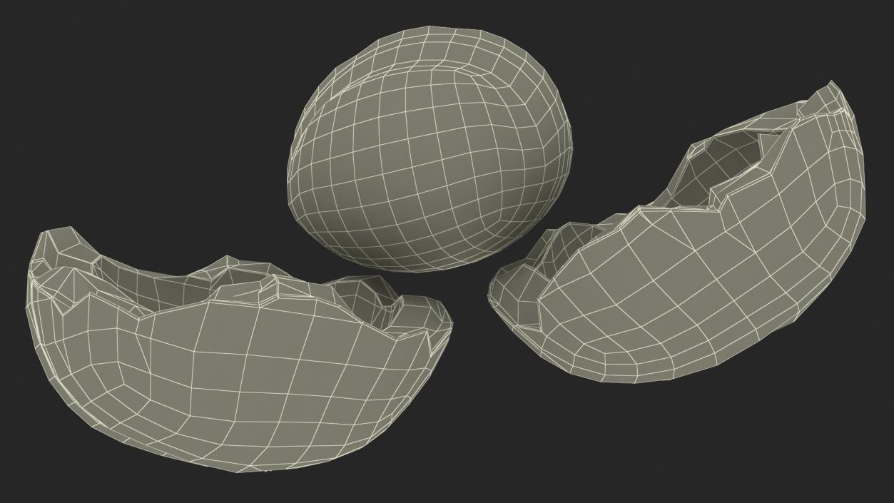 Split Macadamia Nut 3D model