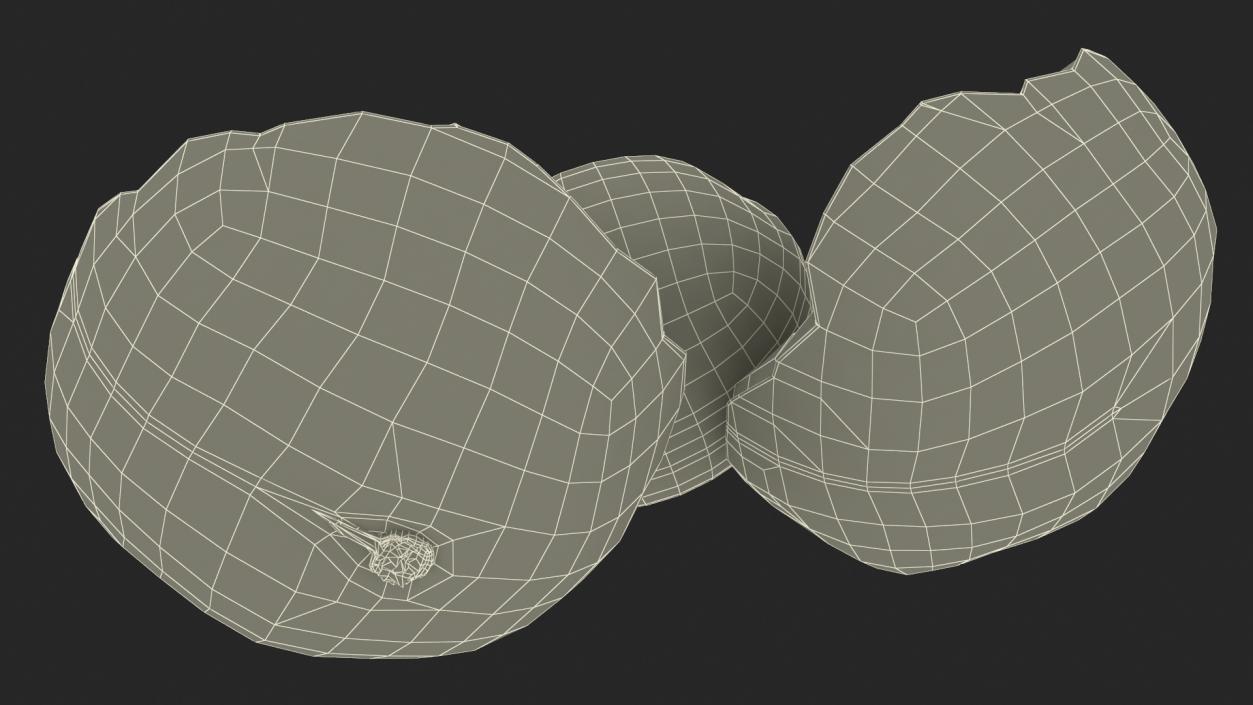 Split Macadamia Nut 3D model