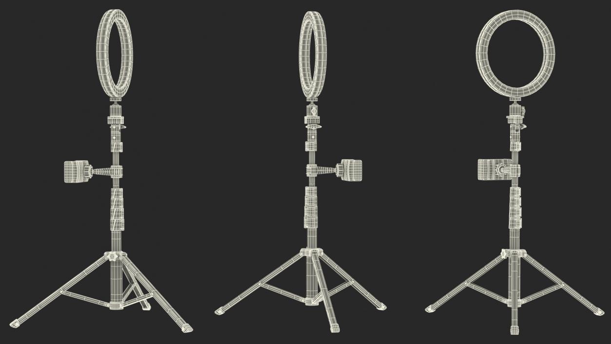 3D model Tripod Stand with Ring Light and Phone Holder