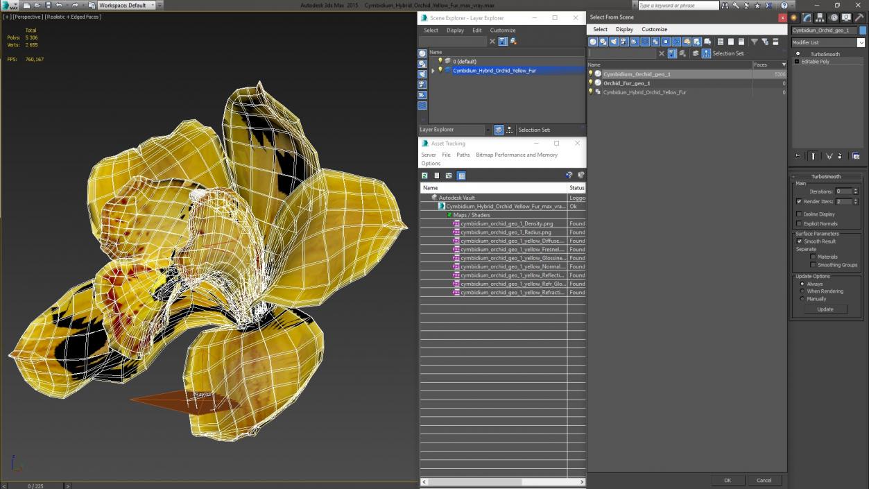 Cymbidium Hybrid Orchid Yellow Fur 3D model