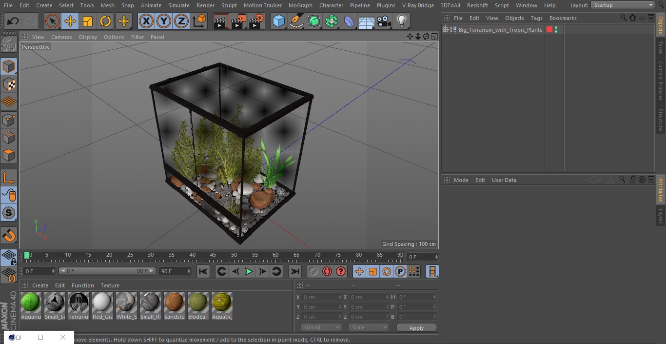 Big Terrarium with Tropic Plants 3D