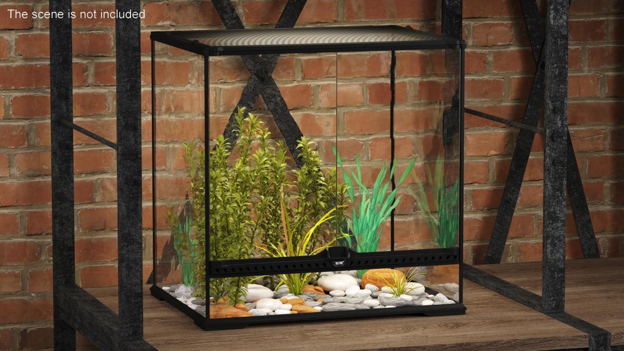 Big Terrarium with Tropic Plants 3D